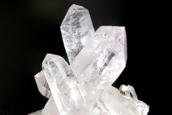 Attractive Amethyst Crystal Cluster - Las Vigas, Mexico #354999